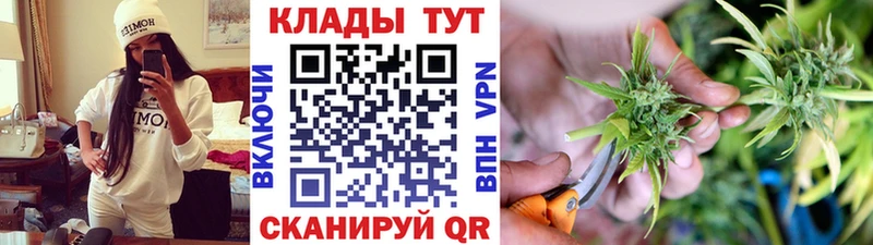 МЕФ Каргополь