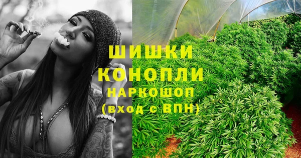 мет Инсар