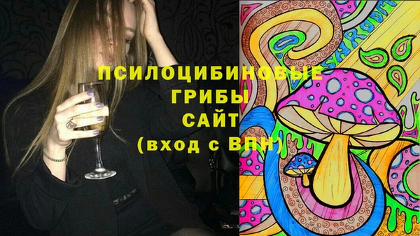 эйфоретик Инта