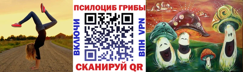 Купить Каргополь Галлюциногенные грибы Magic Shrooms